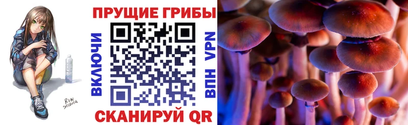 купить наркотик  Боготол  Галлюциногенные грибы мухоморы 