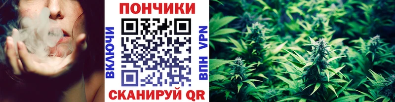 darknet какой сайт  Боготол  Шишки марихуана гибрид 